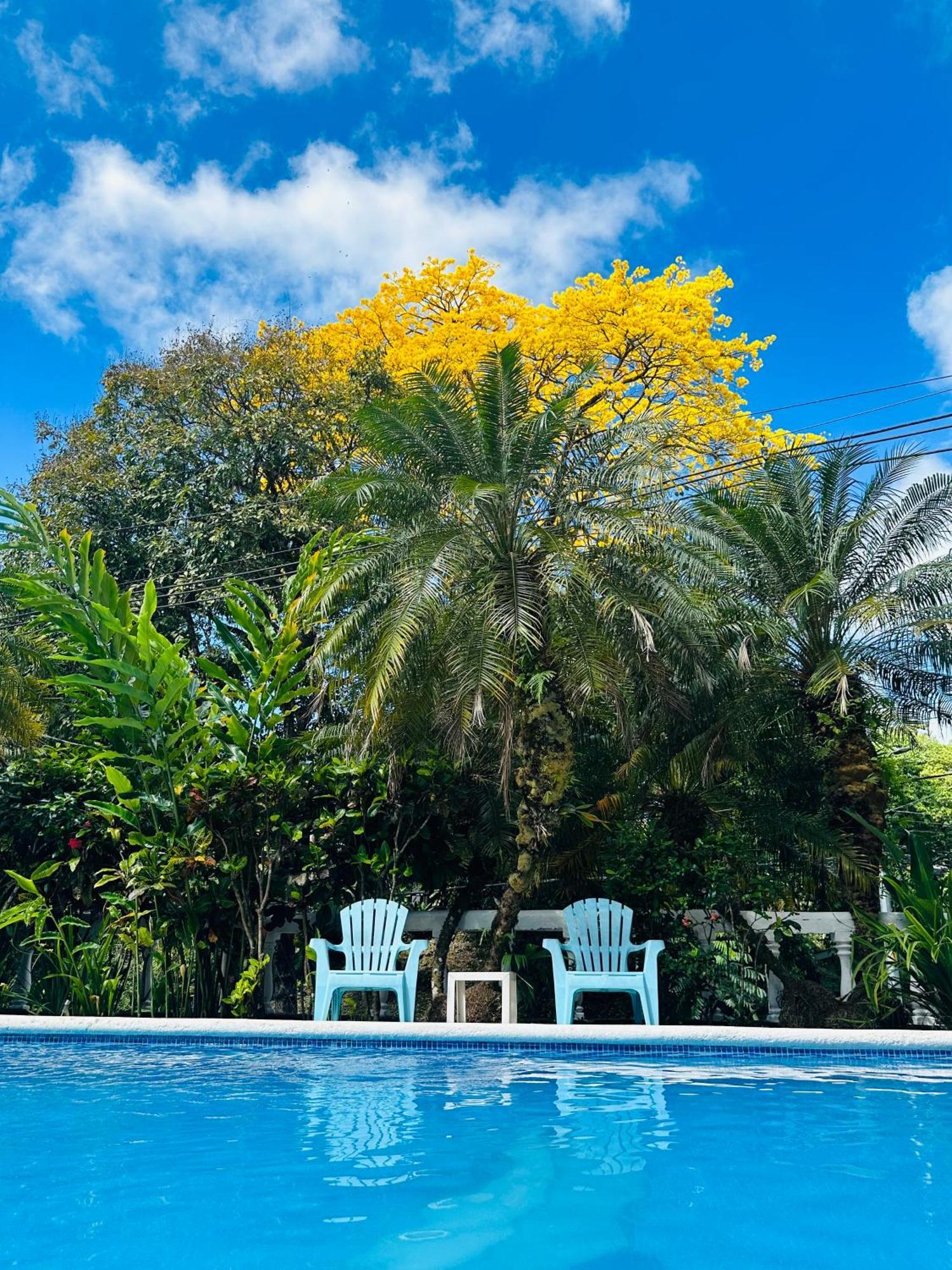 Hospedaje Colibri Manuel Antonio Eksteriør billede