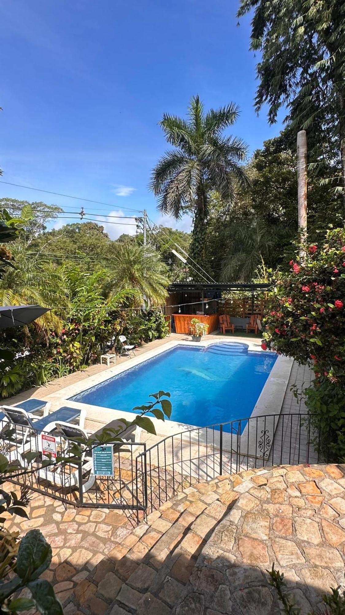 Hospedaje Colibri Manuel Antonio Eksteriør billede